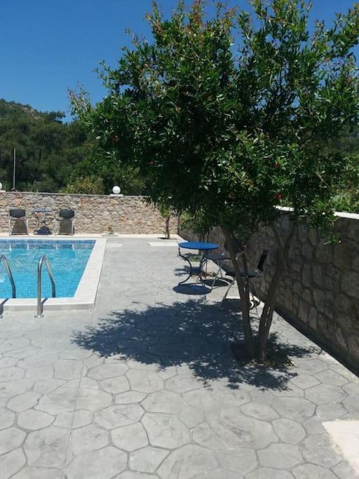 Greek Style Ground Floor Apartment & Pool Ialysós Eksteriør bilde