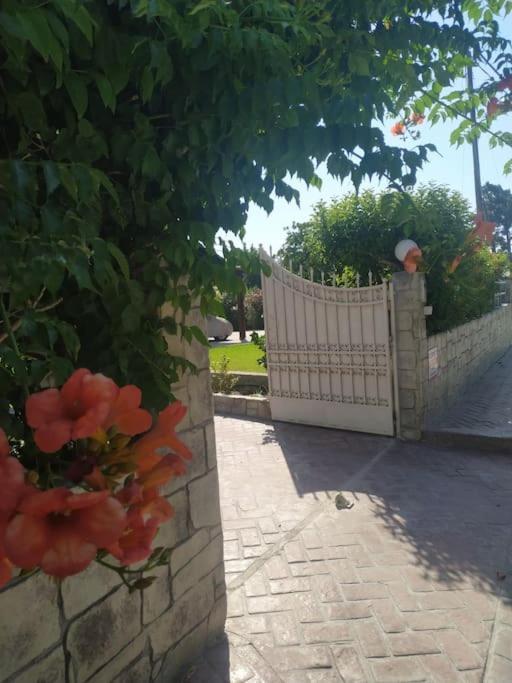 Greek Style Ground Floor Apartment & Pool Ialysós Eksteriør bilde