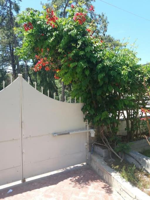 Greek Style Ground Floor Apartment & Pool Ialysós Eksteriør bilde